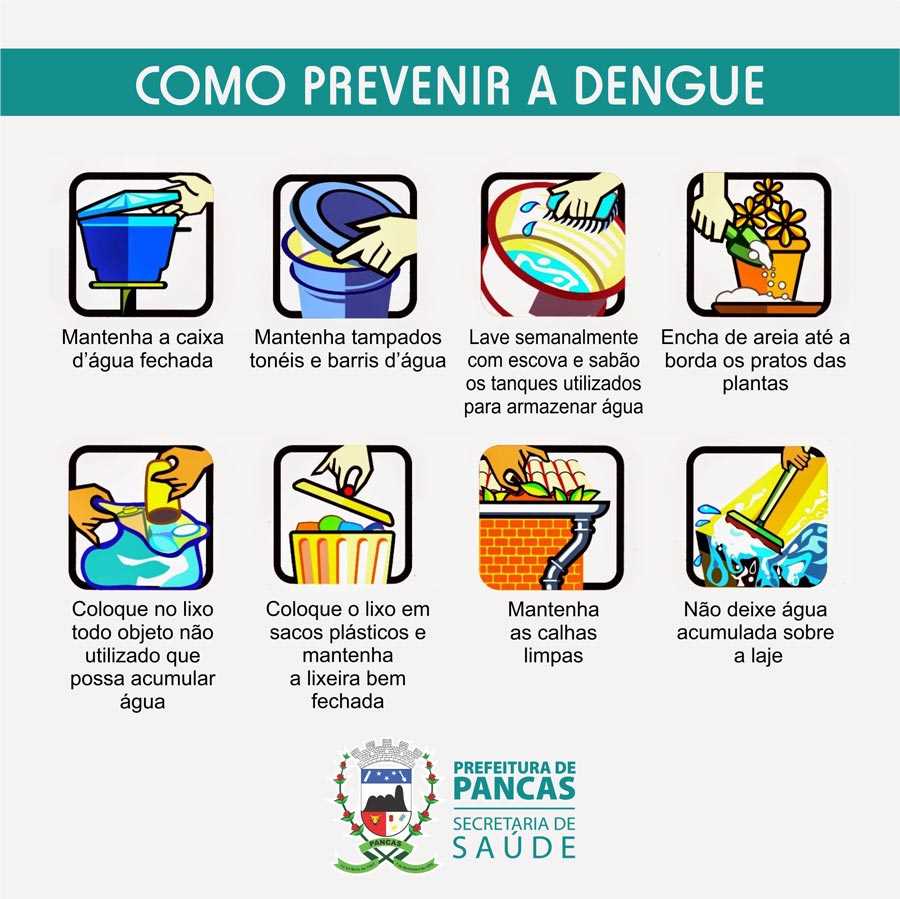 Prefeitura Municipal De Pancas Veja As Principais Dicas De Como Combater A Dengue